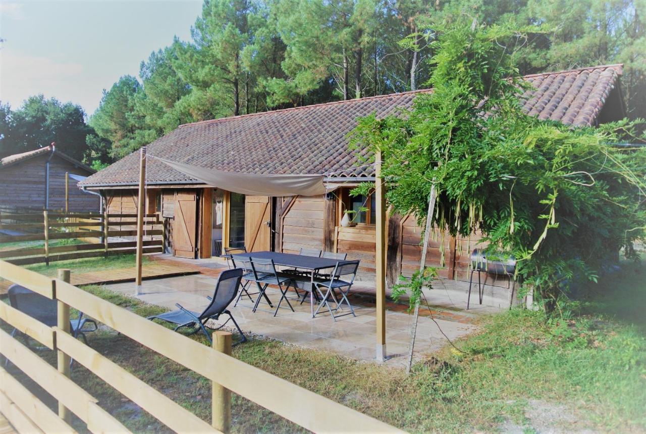 Les Gites Du Grand Chene Saint-Paul-en-Born ภายนอก รูปภาพ